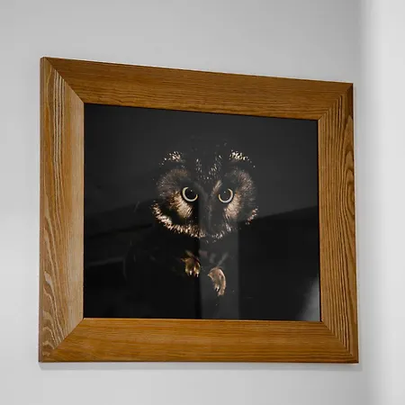 Plazowka Przy Krupowkach 公寓